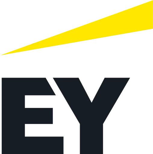 ey.com company logo provided by Brandfetch.com